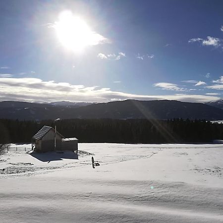 Praschhof Villa Mariapfarr Bagian luar foto