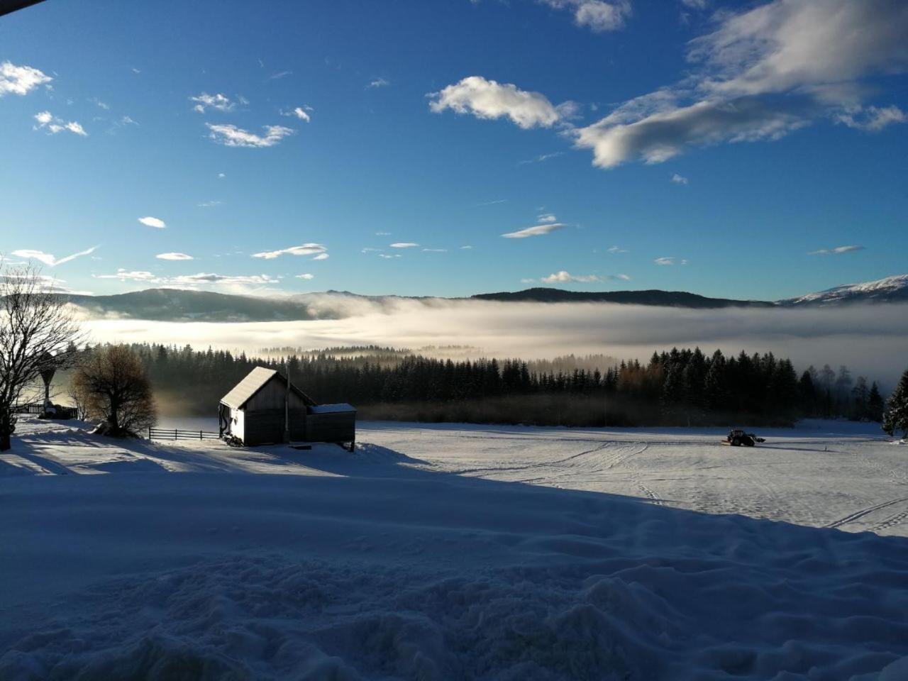 Praschhof Villa Mariapfarr Bagian luar foto