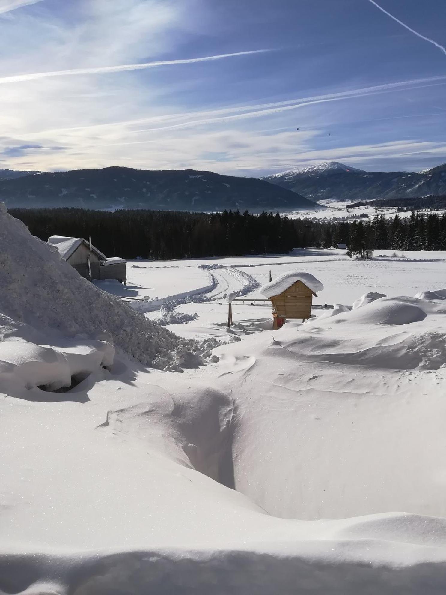 Praschhof Villa Mariapfarr Bagian luar foto